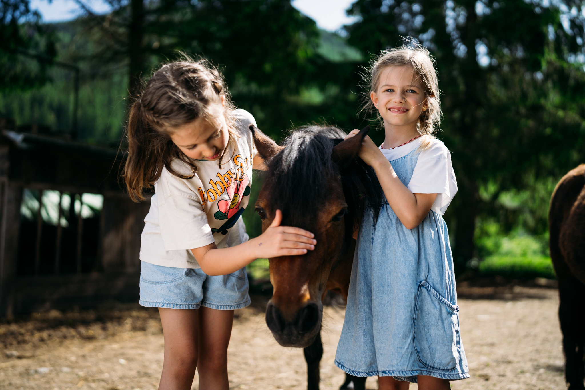 Trattlers Hof-Chalets Ausflugsziele Trattlers Ponyfarm