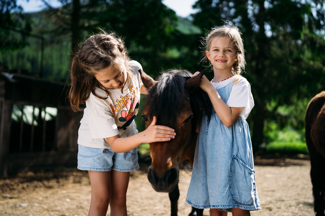 Trattlers Hof-Chalets Ausflugsziele Trattlers Ponyfarm