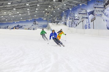 Chalet: Skihalle Neuss - BaumChalets im Alpenpark Neuss