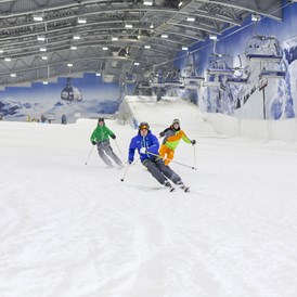 Chalet: Skihalle Neuss - BaumChalets im Alpenpark Neuss