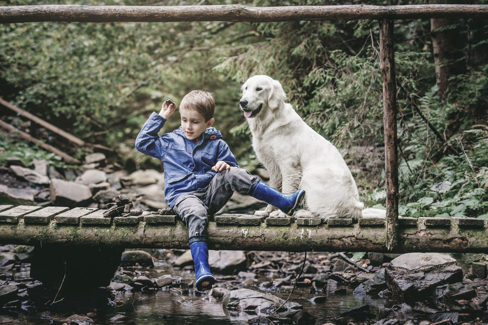 Chalet: Hunde sind herzlich willkommen - Aadla Walser-Chalets am Arlberg - Außen