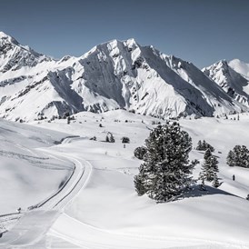 Chalet: Das Winterparadies Warth-Schröcken genießen: ob auf der Piste, der Loipe oder beim Winterwandern - Aadla Walser-Chalets am Arlberg
