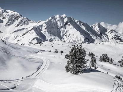 Hüttendorf - Schröcken - Das Winterparadies Warth-Schröcken genießen: ob auf der Piste, der Loipe oder beim Winterwandern - Aadla Walser-Chalets am Arlberg