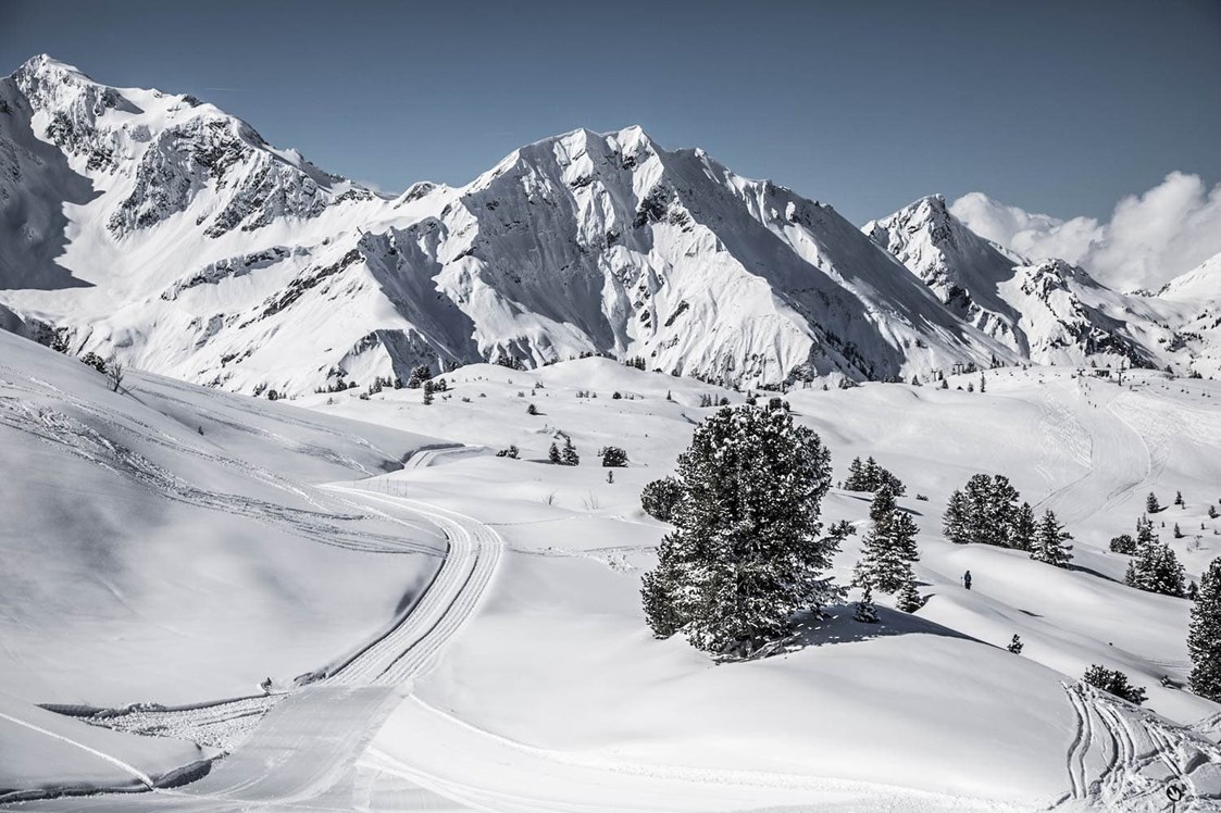 Chalet: Das Winterparadies Warth-Schröcken genießen: ob auf der Piste, der Loipe oder beim Winterwandern - Aadla Walser-Chalets am Arlberg