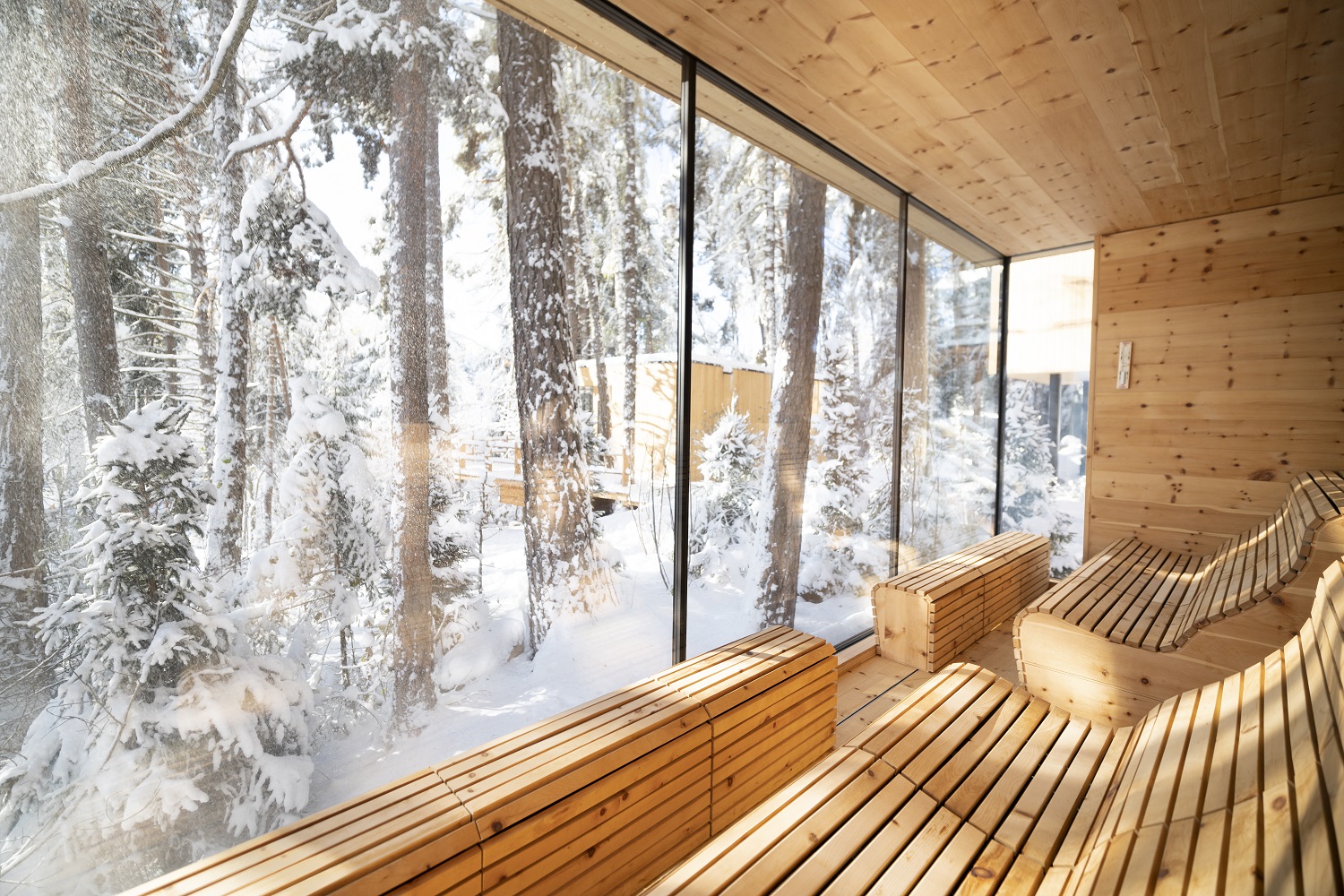 Chalet: ADLER Lodge RITTEN