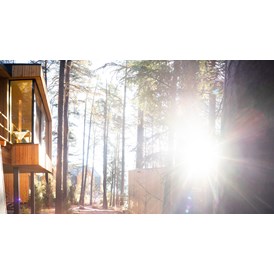 Chalet: ADLER Lodge RITTEN forest spa - ADLER Lodge RITTEN