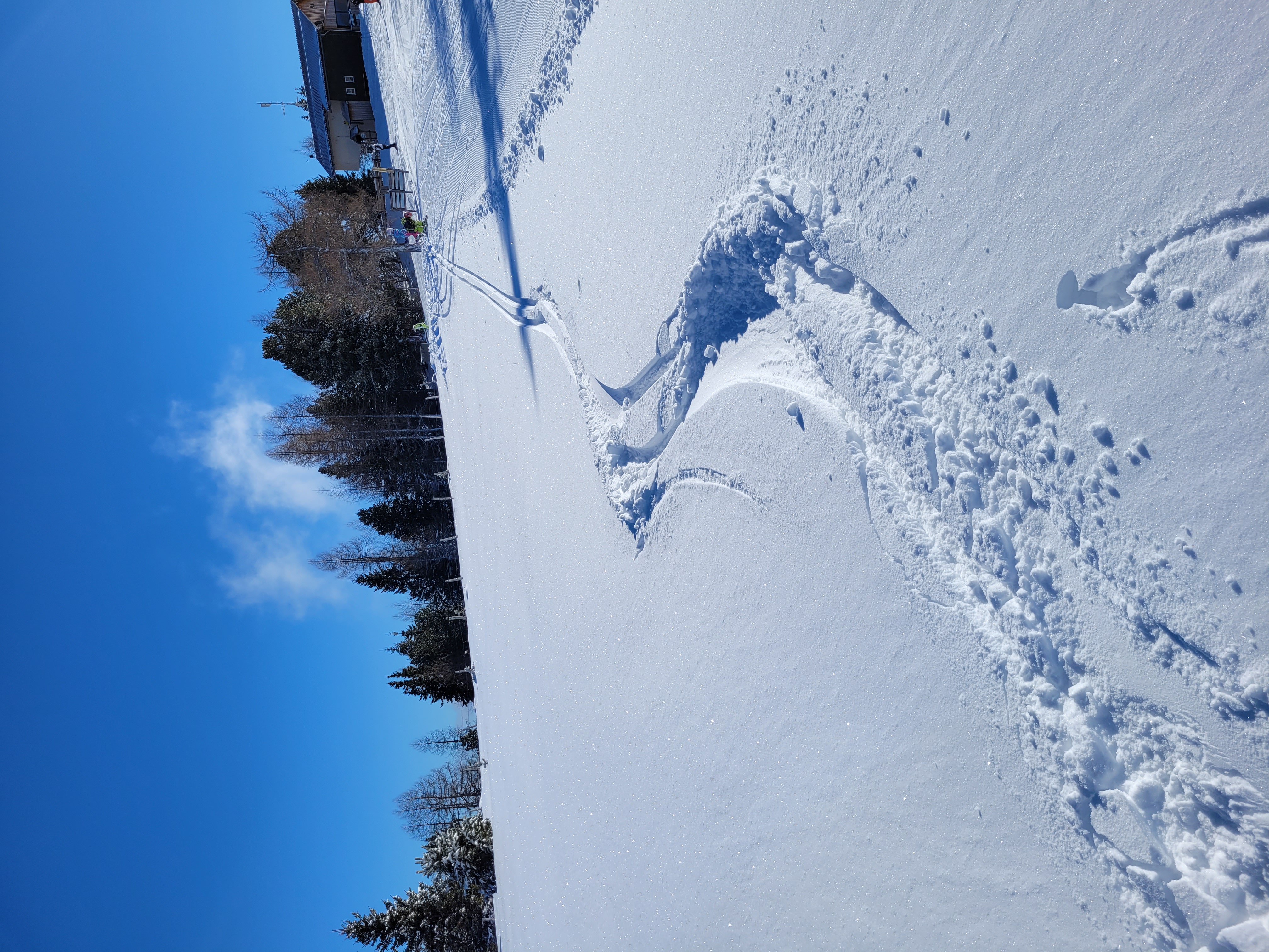 Chalet: Enzianhütte