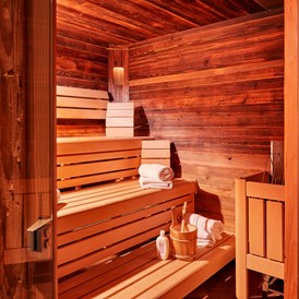 Chalet: eigene Sauna in jedem Chalet - Almdorf Flachau