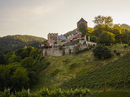 Hüttendorf - St. Oswald (Eberstein) - Sehenswert: Burg Deutschlandsberg - Am Wildbachberg