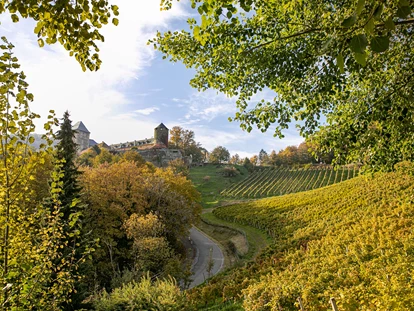 Hüttendorf - St. Oswald (Eberstein) - Sehenswert: Burg Deutschlandsberg - Am Wildbachberg
