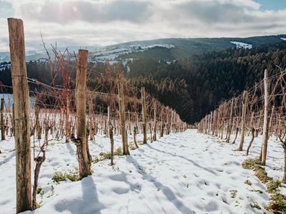 Hüttendorf - St. Oswald (Eberstein) - Weingarten im Winter - Am Wildbachberg
