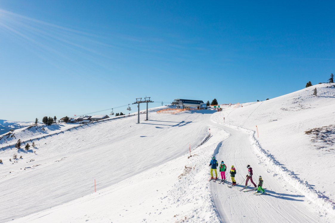 Chalet: direkt an der Skipiste im familienfreundlichen Skigebiet Fanningberg

 - Almdorf Omlach, Fanningberg