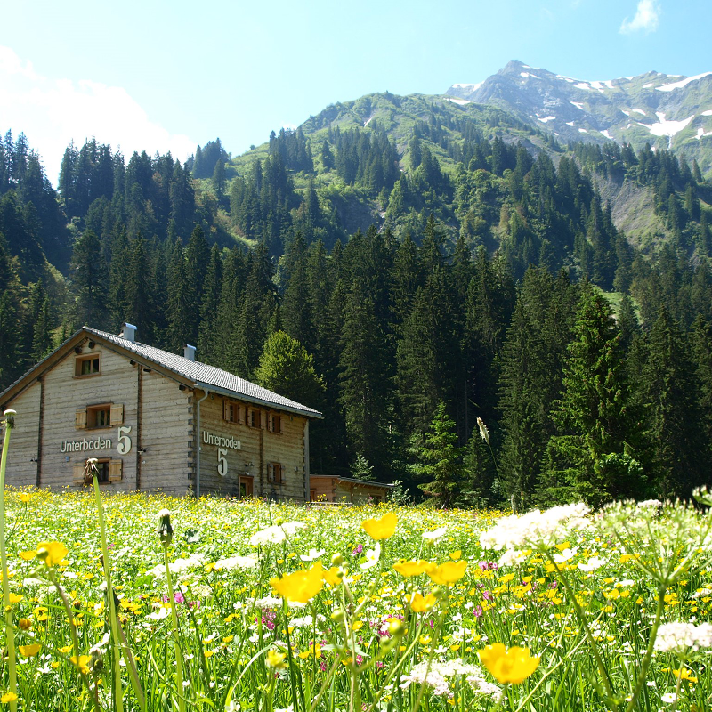 Hüttendorf - PLZ 87541 (Deutschland) - Ferienhaus am Berg, für Gruppen bis 16 Personen - Bergfreunde Chalets