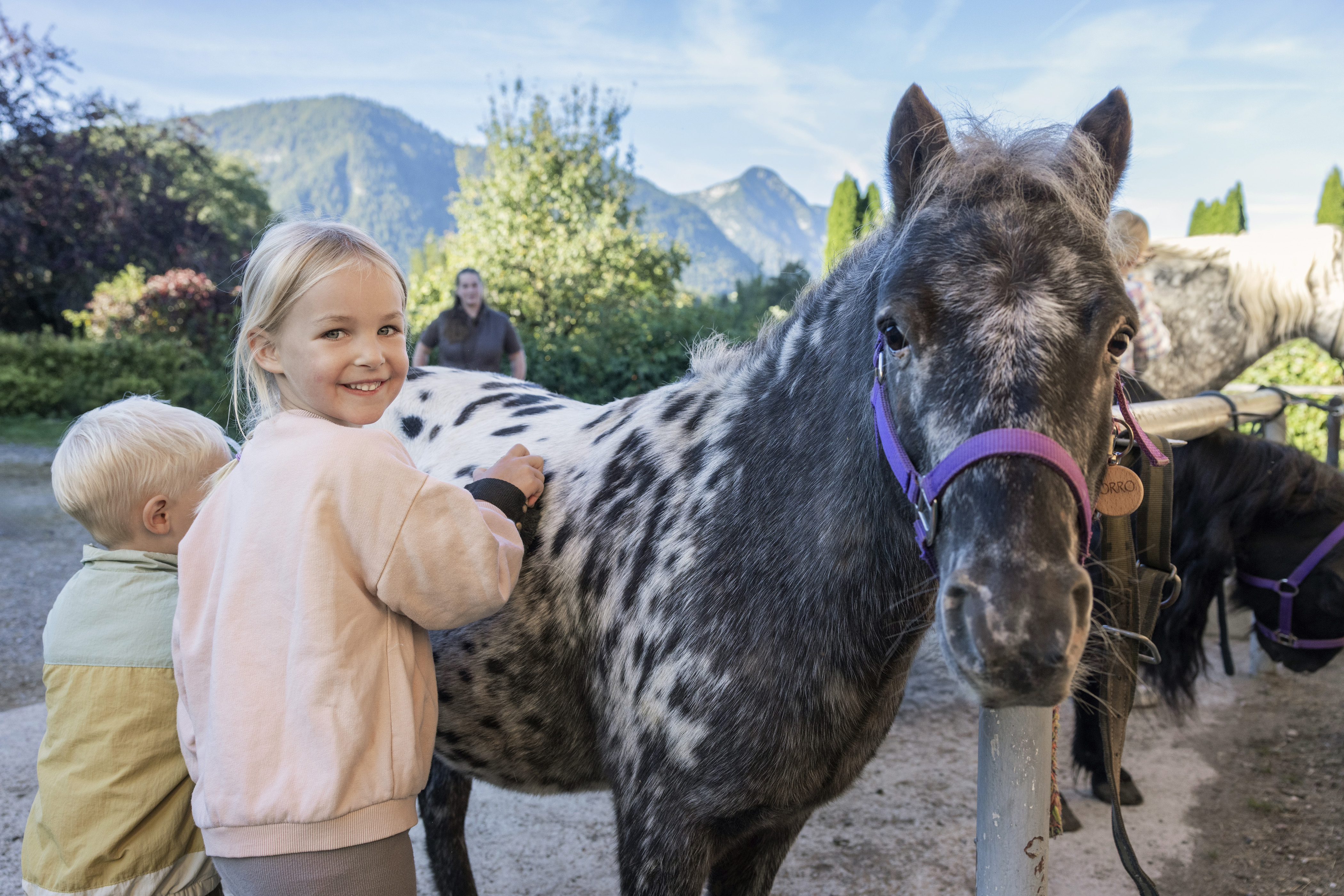 Chalet: Ponyabenteuer und Ponycamps im Narzissendorf Zloam - Narzissendorf Zloam - Grundlsee - Außen