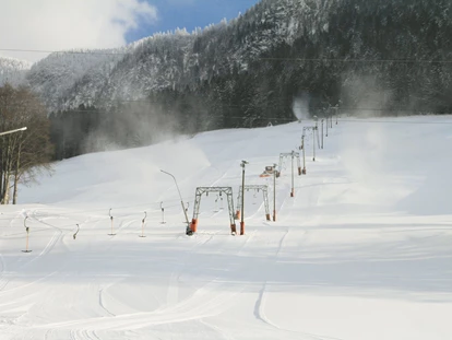 Hüttendorf - Chaletgröße: 8 - 10 Personen - Skilift im Narzissendorf Zloam - Narzissendorf Zloam - Grundlsee