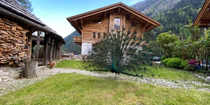 Hüttendorf - Weng (Goldegg) - Pfau im Garten des Grand Chalet - Hideaway Eggerfeld