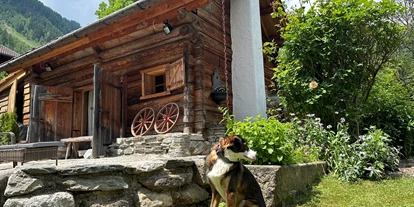 Hüttendorf - Weng (Goldegg) - Romantikhütte - Hideaway Eggerfeld