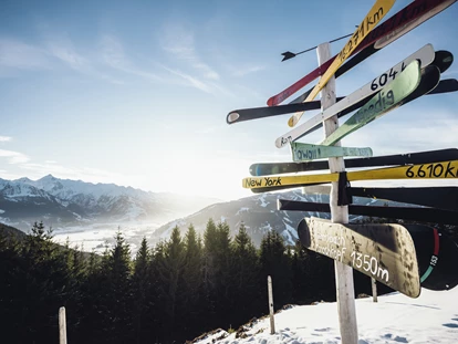 Hüttendorf - Chaletgröße: 4 - 6 Personen - Pinzgau - AlpenParks Chalet & Apartment AreitXpress Zell am See