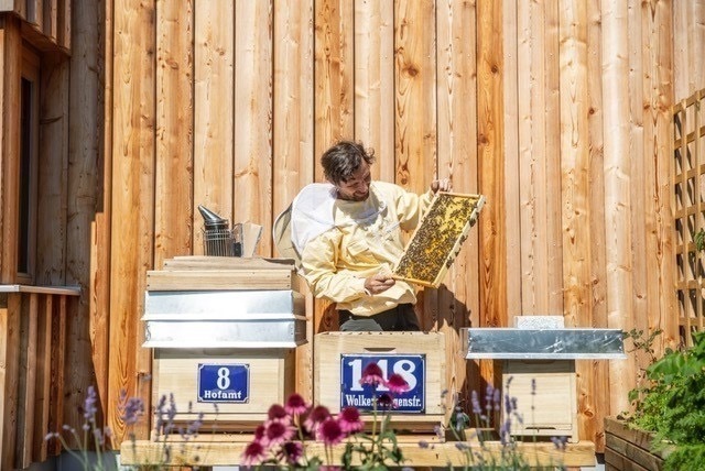 Chalet: Hauseigene Bio Imkerei mit einem der besten Honige in ganz Tirol. - ALPEGG CHALETS - Außen, Essen | Trinken