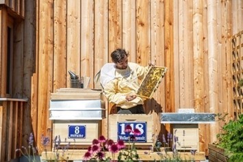 Chalet: Hauseigene Bio Imkerei mit einem der besten Honige in ganz Tirol. - ALPEGG CHALETS