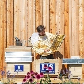 Chalet: Hauseigene Bio Imkerei mit einem der besten Honige in ganz Tirol. - ALPEGG CHALETS