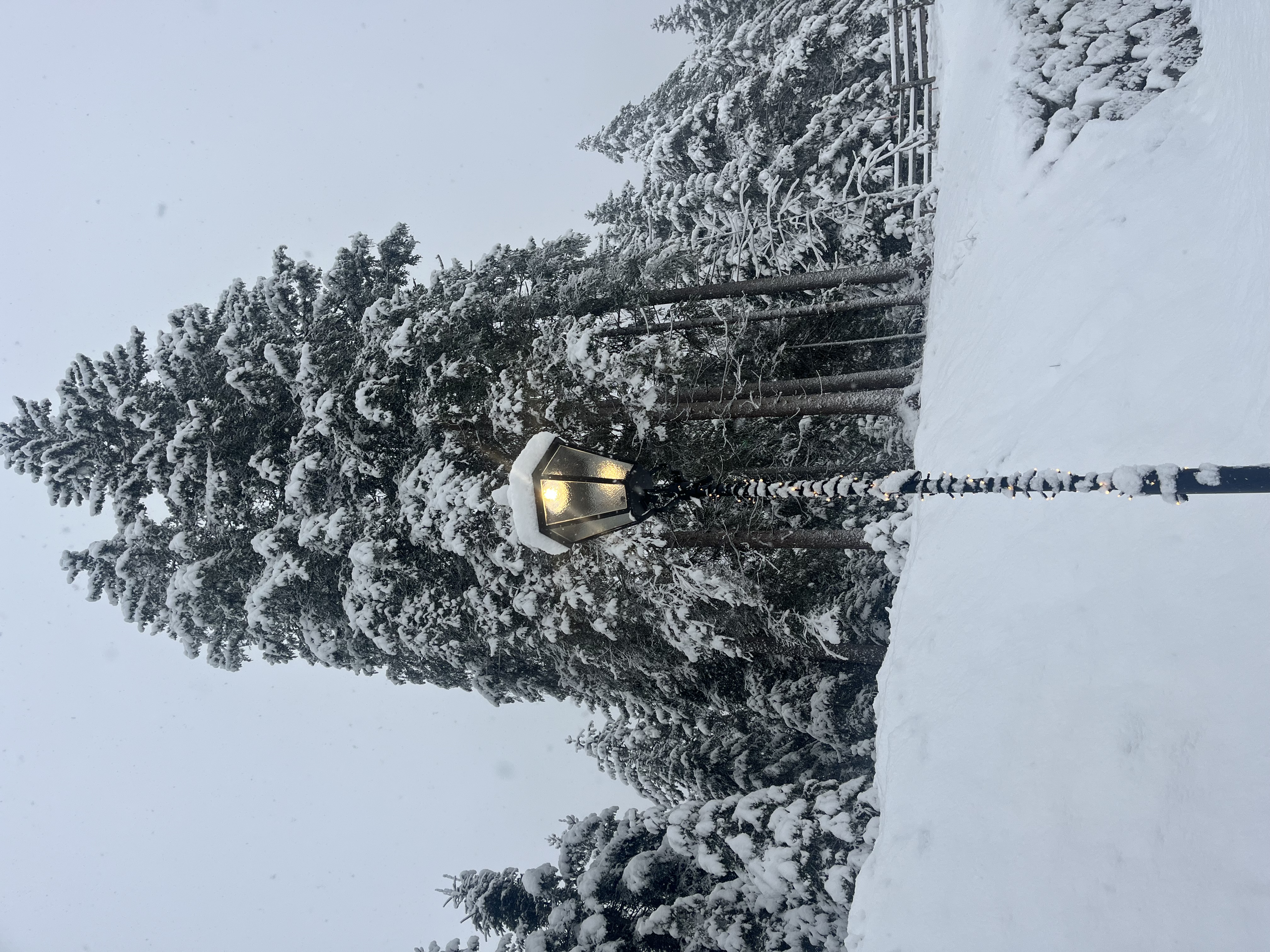 Chalet: Sissi´s Green Chalets